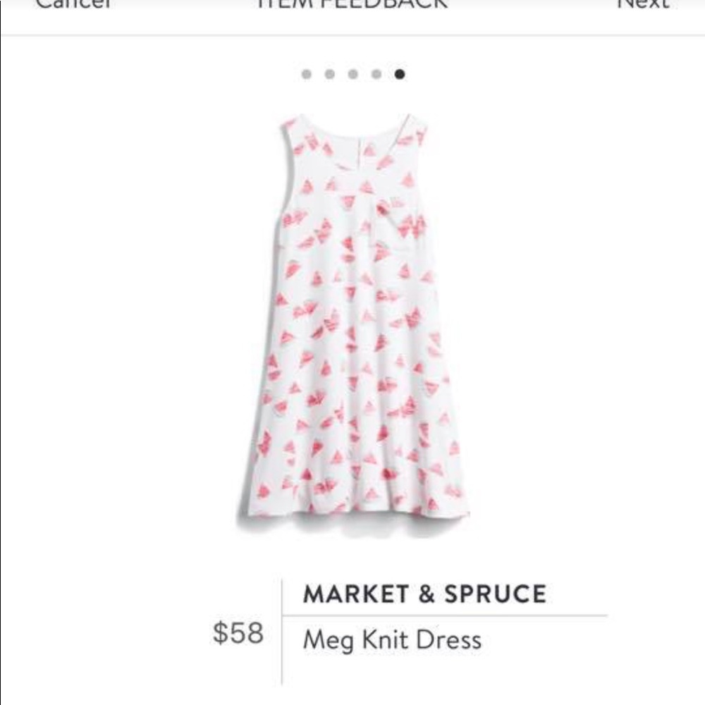 **STITCH FIX** Market & Spruce watermelon dress